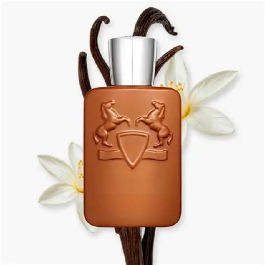125ml 브라운 보틀 남성용 향수, 풍부한 우디 향  - Perfume Alcohol Fragrance 리뷰 및 가격
